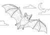 Mexican Free-Tailed Bat Picture to Print Out and Color