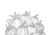 Mini Pumpkin Coloring Page to Print Out and Color