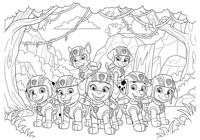 Paw Patrol Colour Wonder Paw Patrol Colour Wonder