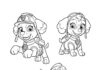 Paw Patrol Sea Coloring Page