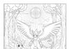 Pokedex Coloring Page to Print Out and Color