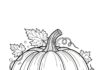 Printable Picture of a Pumpkin to Color