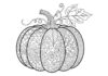 Pumpkin Zentangle Coloring Page