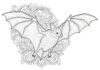 Realistic Vampire Bat Coloring Page