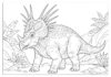 Styracosaurus Coloring Page to Print Out and Color