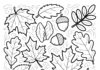 Thanksgiving Leaf Coloring Page