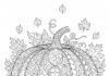 Fall Themed Coloring Page for Adults