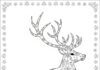 – Snowflake Pattern Reindeer Coloring Page