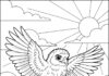 Baby Hawk Learning to Fly Coloring Page