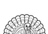 Big Turkey Coloring Page