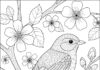 Bird Picture Coloring Page