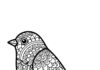 Bird Mandala Coloring Page