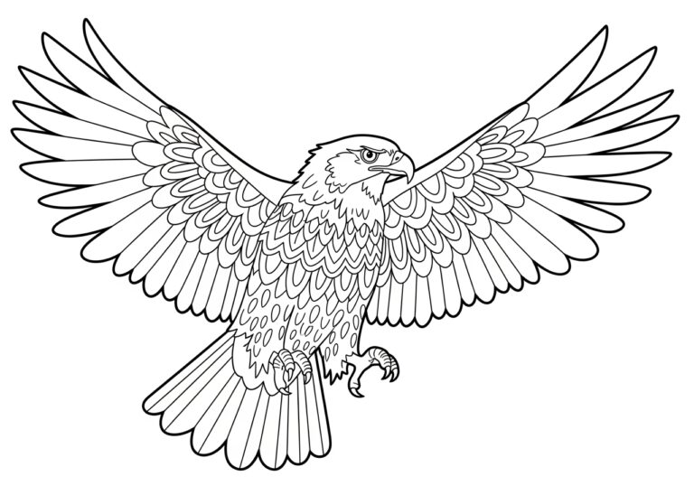 Bird of Prey Coloring Page