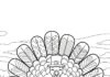 Blank Turkey Coloring Page