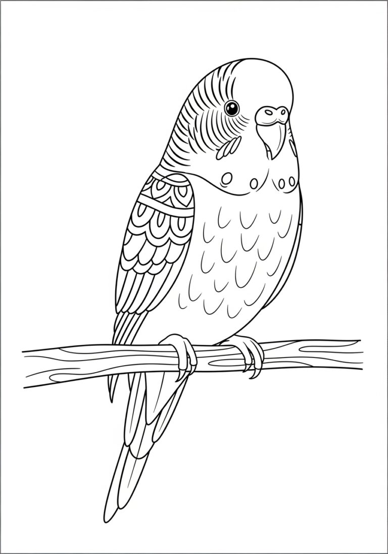 Budgie Perched on a Branch Coloring Page