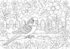 Budgie Playing in a Garden Coloring Page