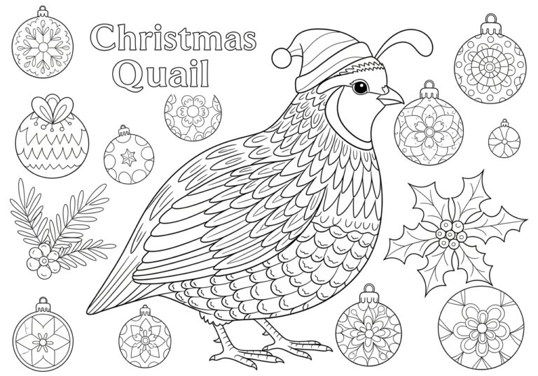 Christmas Quail Coloring Page