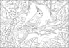 Cockatiel in a Jungle Setting Coloring Page