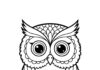 Colored Owl Coloring Page