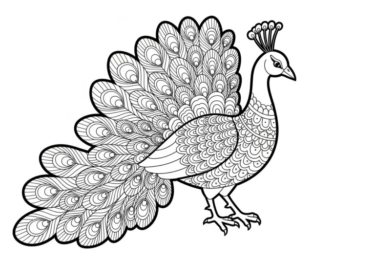 Colouring Image of Peacock