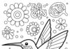 Cute Hummingbird Coloring Page