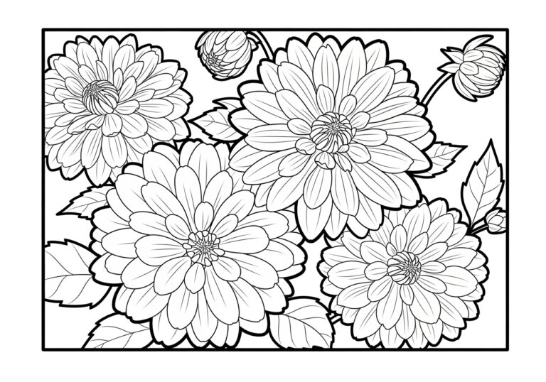 Dahlia Flower Coloring Page