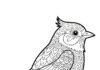 Detailed Bird Coloring Page