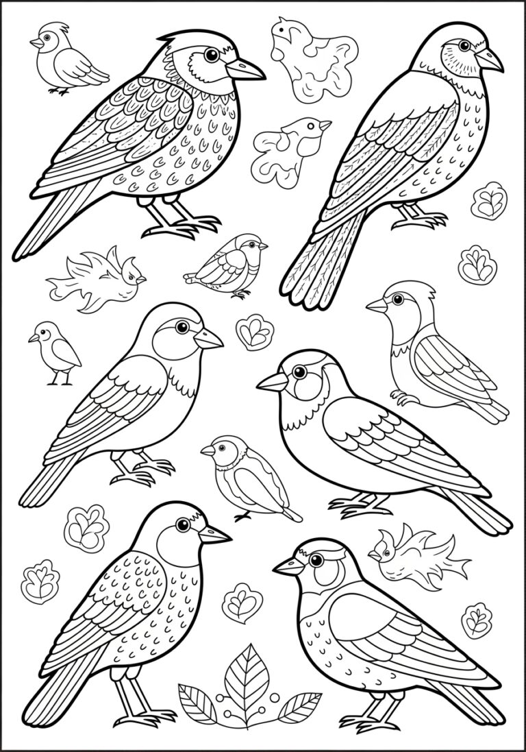 Different Types of Birds Coloring Page