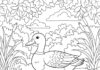 Duck and Ducklings Coloring Page