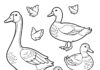 Duck and Goose Coloring Page