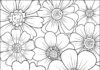 Easy Coloring Page of Flowers