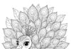 Easy Peacock Coloring Page