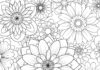 Flower Outline Image for Colouring