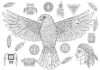 Hawk and Native American Symbol Coloring Page