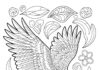Hawk in Flight Coloring Page