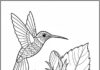 Hibiscus and Hummingbird Coloring Page