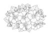 Hibiscus Bouquet Coloring Page