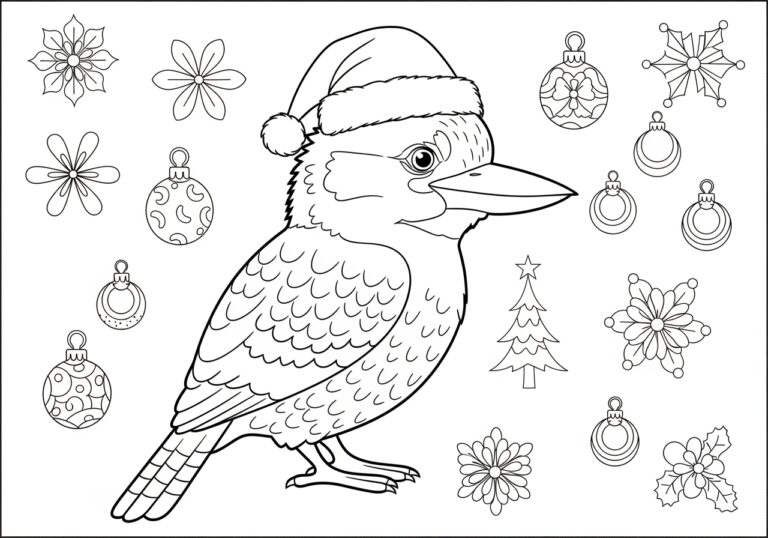 Kookaburra Wearing a Santa Hat Coloring Page