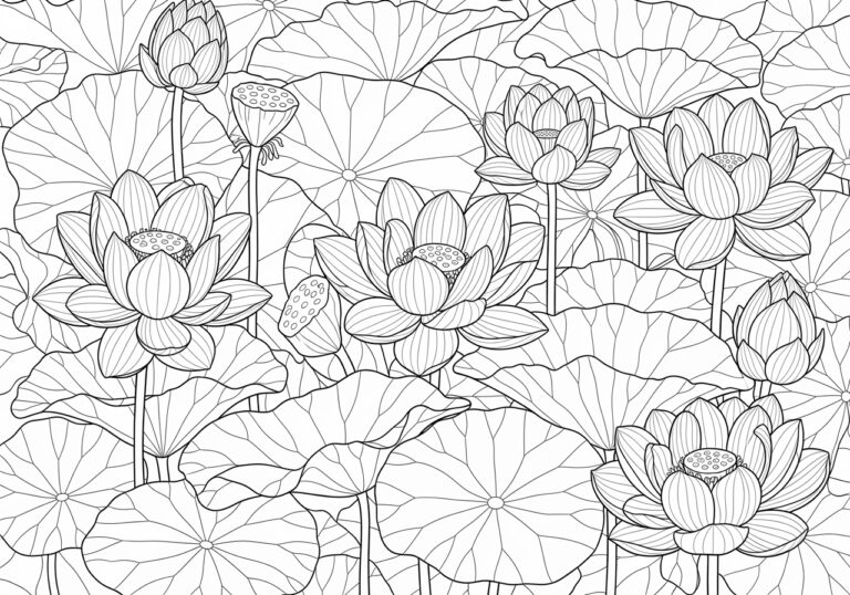 Lotus Coloring Image Page