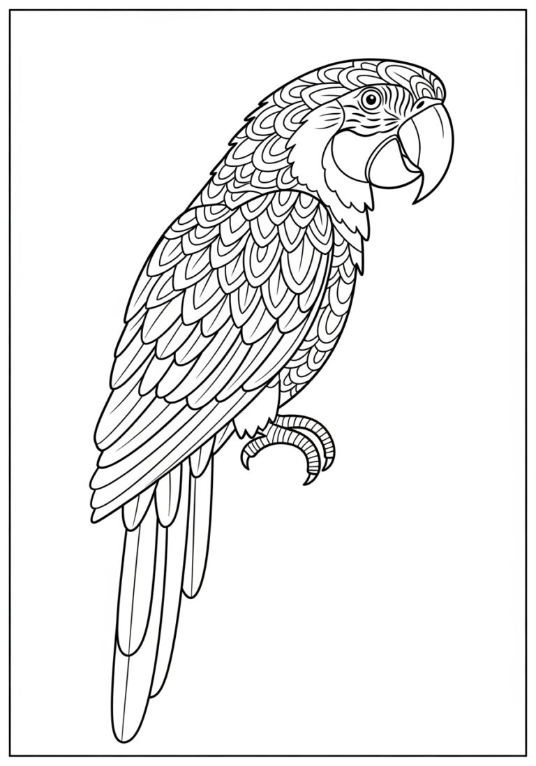 Macaw Parrot Coloring Page
