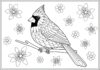 Northern Cardinal Coloring Page