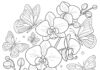 Orchid and Butterfly Fantasy Coloring Page