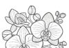 Orchid Floral Mandala Coloring Page