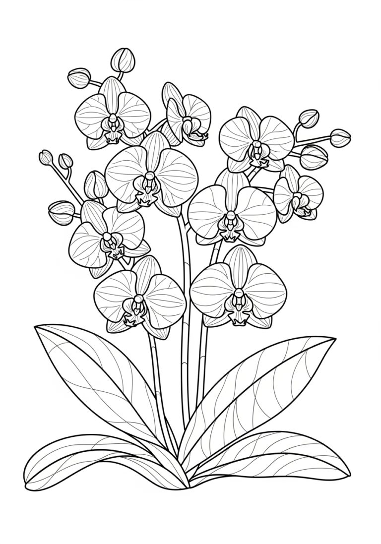 Orchid Flower Coloring Page