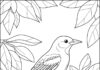 Oriole Bird Coloring Page