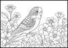 Parakeet in a Flower Garden Coloring Page