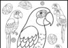 Parrot Coloring Page for Adults