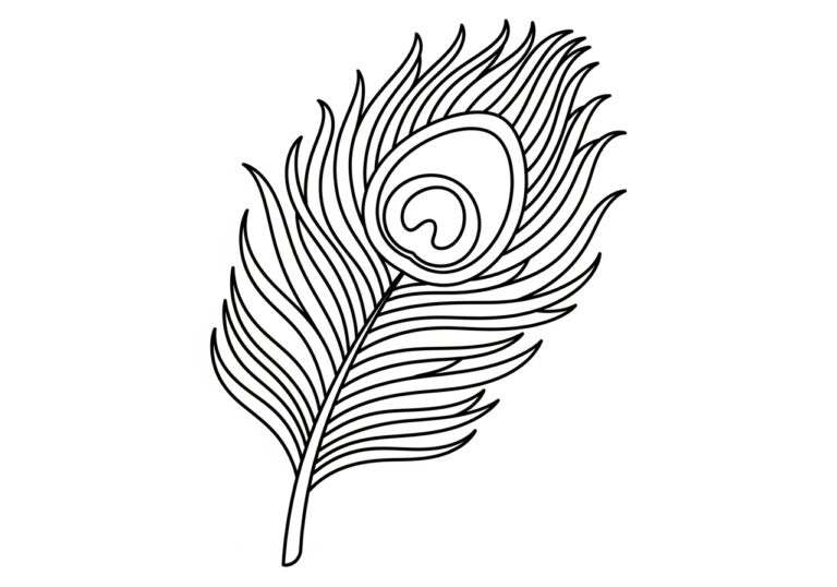 Peacock Feather Coloring Page