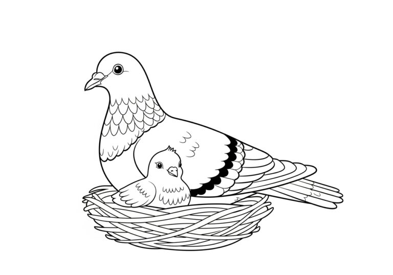 Pigeon and Chick in a Nest Coloring Page