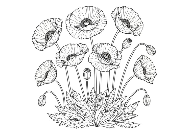 Poppy Flower Coloring Page